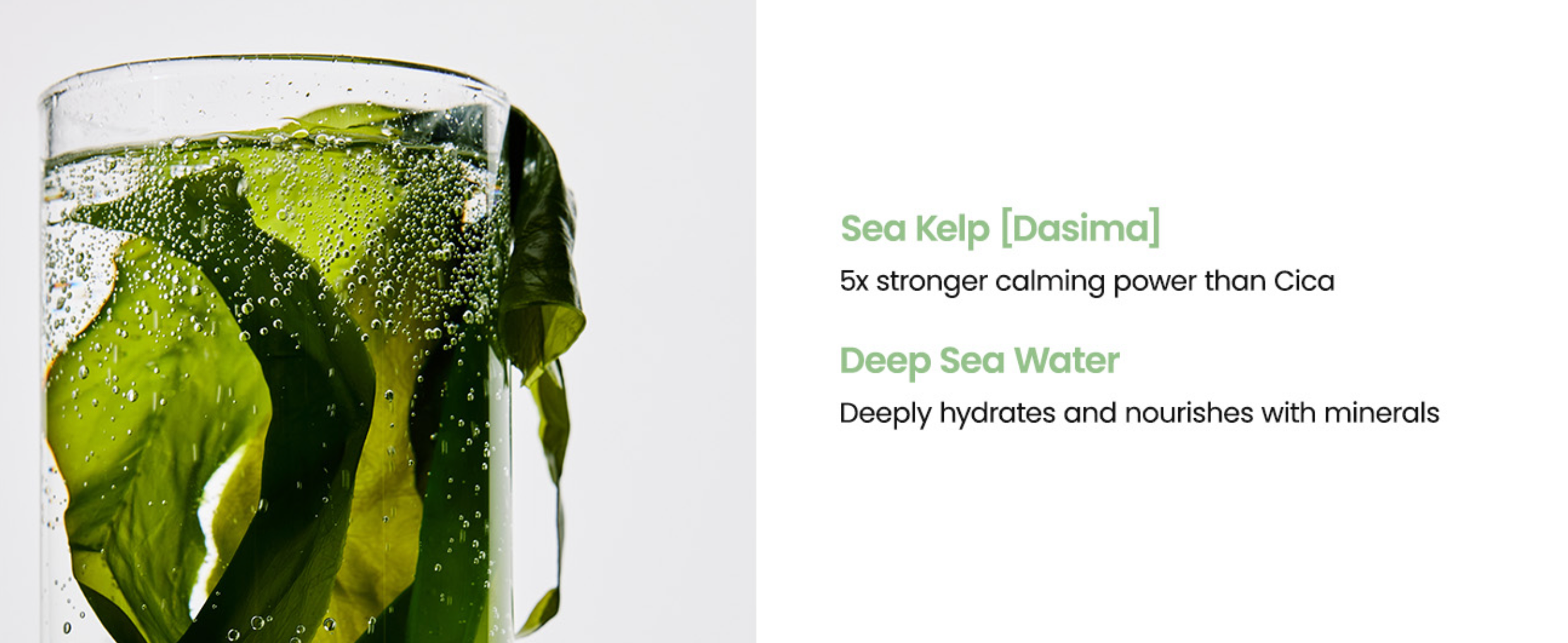 Biodance Refreshing Sea Kelp Real Deep Mask 34g X 4ea